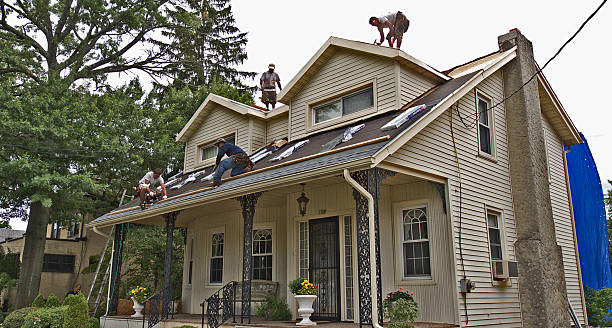 Best Roof Gutter Cleaning  in La Grange, KY