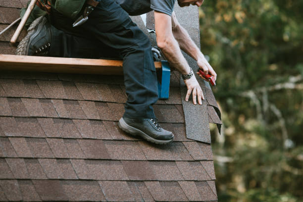 Best Storm Damage Roof Repair  in La Grange, KY